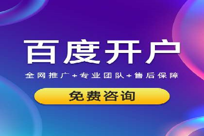 成功SEM托管案例解析